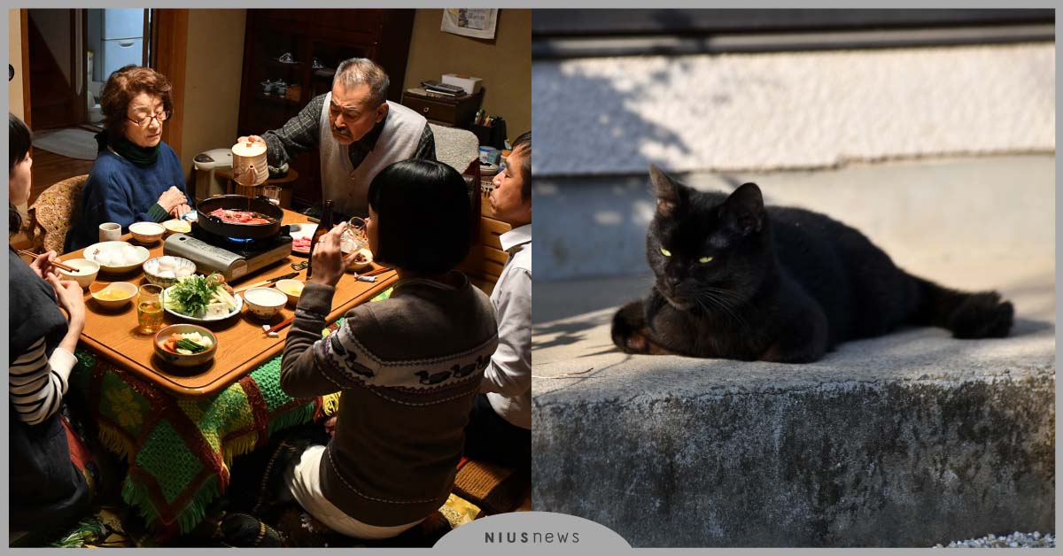 夫妻之間的感情竟然是一隻貓最懂？《深夜食堂2》導演最新溫暖、動人之作《貓咪知道但是貓咪不說》 電影、貓咪、溫暖動人