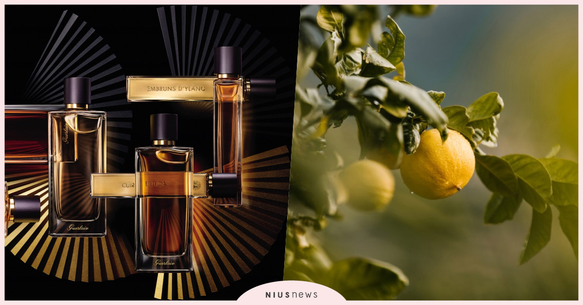 L'Art & la Matière 頂級訂製精品香水藝術沙龍系列  台灣首度上市 9款香氣藝術 香水、藝術、香氛、頂級