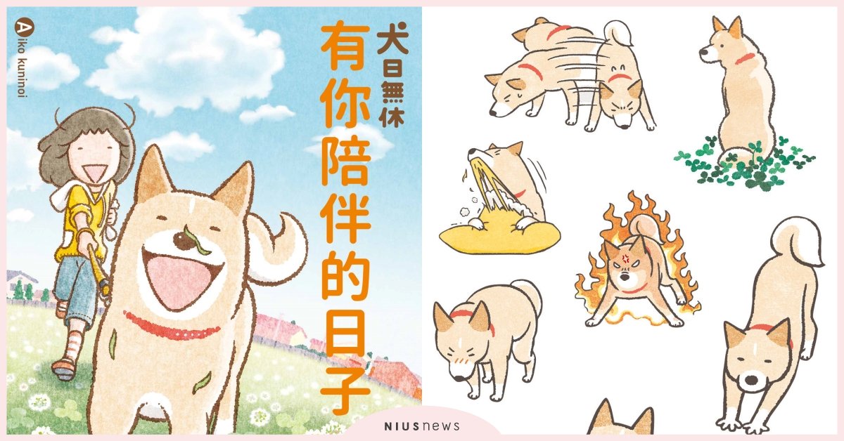 最夯貼圖明星再度出書了 狗奴非看不可！解密最萌米克斯狗狗成長史 米克斯、貼圖、狗狗