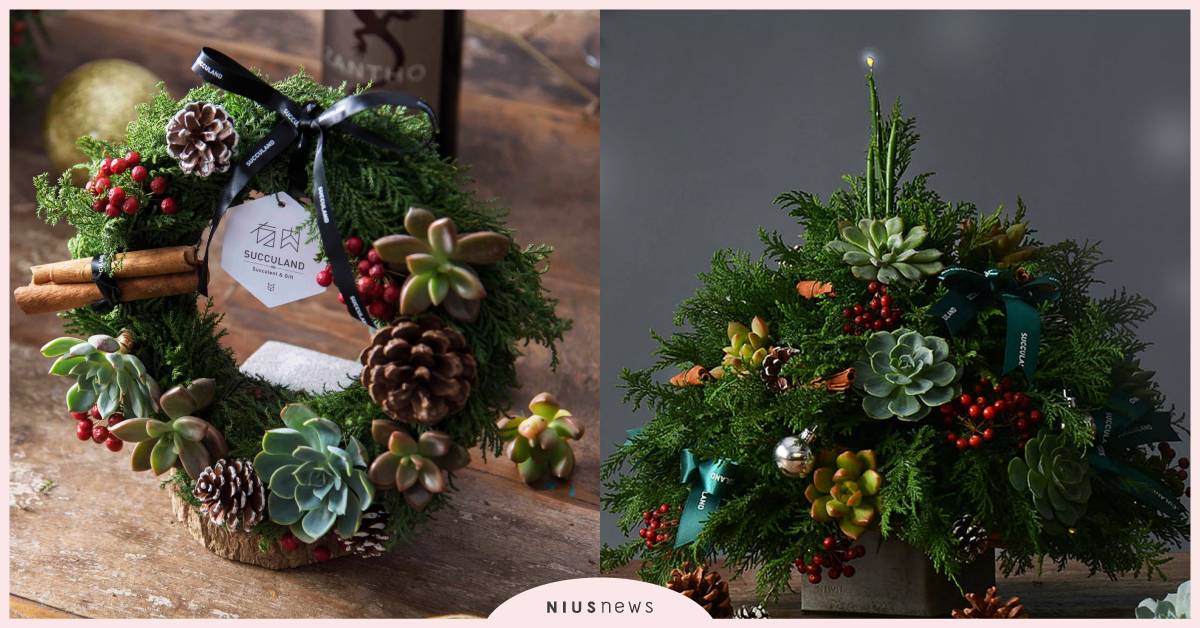 快來手作一個聖誕節花圈  文末最後還有抽獎呦 多肉、聖誕花圈、手作