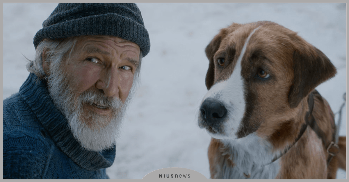 《極地守護犬》哈里遜福特化身療癒系大叔「最猛狗派」 極地守護犬、哈里遜福特、狗派