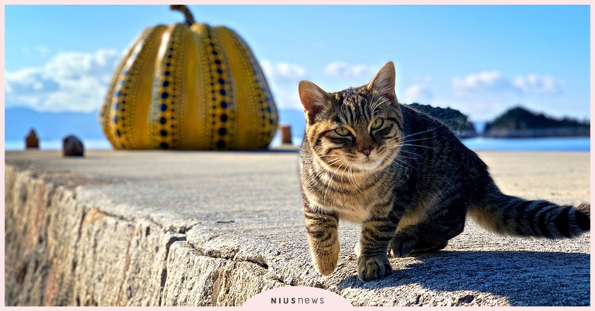 2020 SKM PHOTO新光三越國際攝影聯展 2/27A9開展！  SKM、新光三越