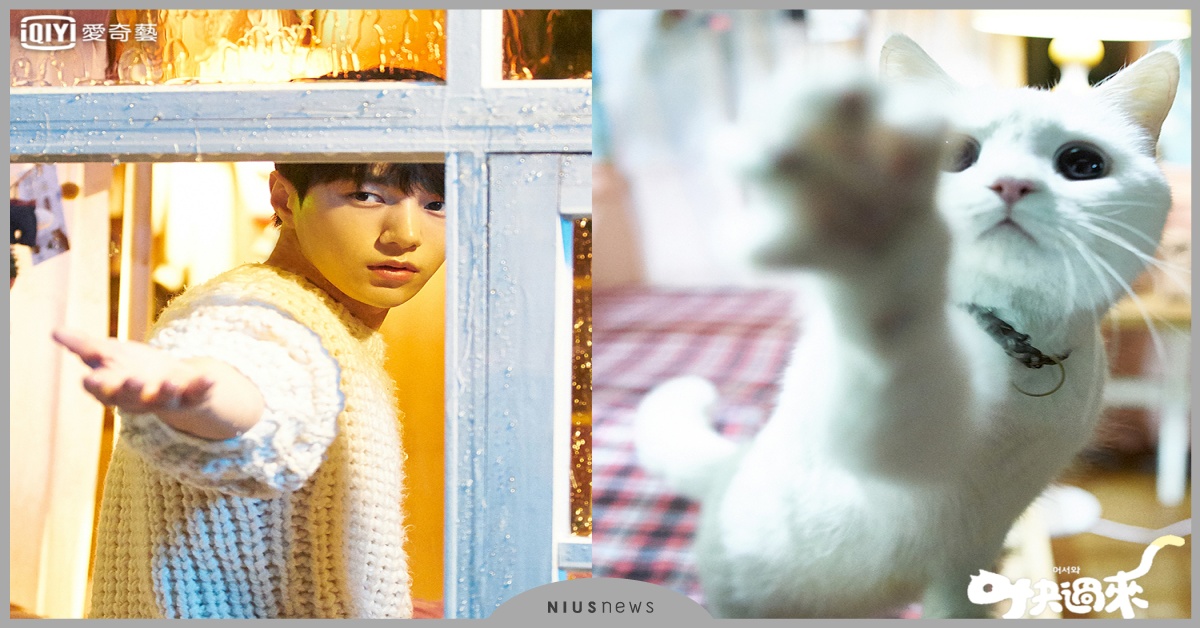 《快過來》金明洙化身萌貓 揪辛睿恩同居 金明洙成大前輩 辛睿恩的要求都「OK」 金明洙、辛睿恩、韓劇、快過來、愛奇藝、網漫