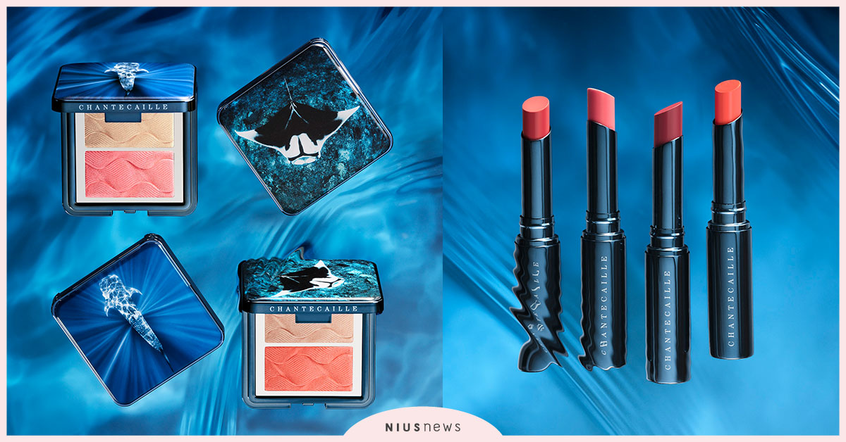 溫柔巨人的沉默哀鳴！香緹卡 X WildAid野生救援計畫，2020夏季蔚藍海洋系列彩妝！ 香緹卡、WildAid、野生救援計畫、夏季蔚藍海洋系列彩妝