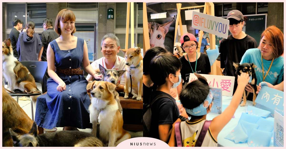 一起響應2020世界動物日！讓世界看到台灣 台灣、台北、世界動物日、動物