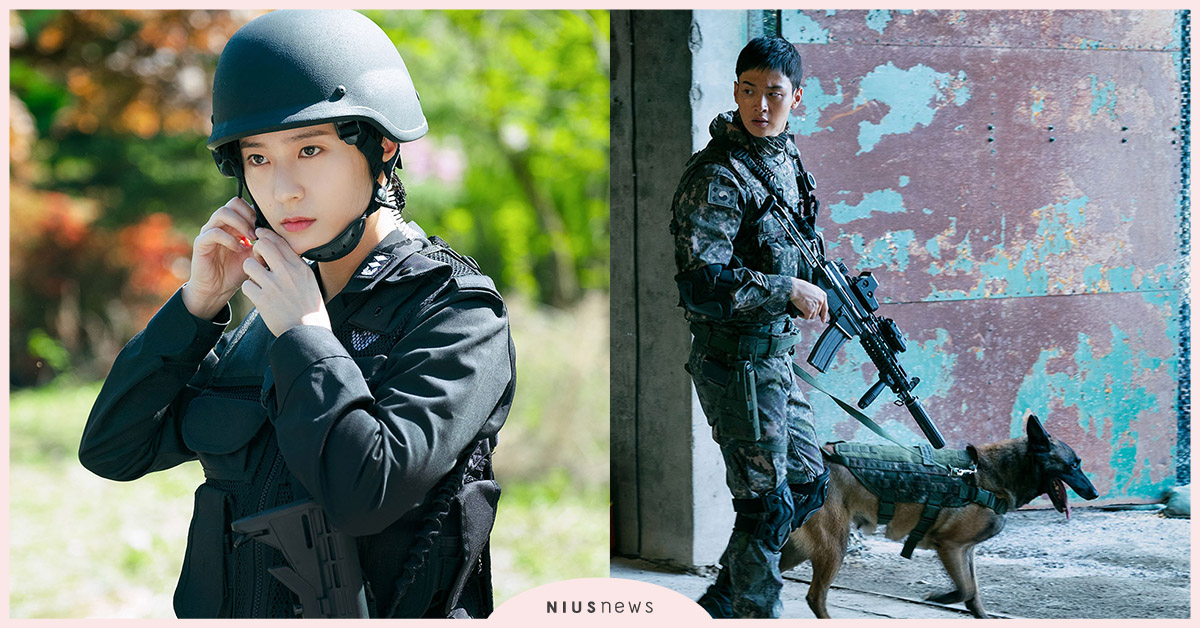 鄭秀晶變身女軍官，射擊打鬥樣樣來！張東潤為戲增肌，與狗對戲稱讚「狗演得最好」 Search非武裝救援、鄭秀晶、張東潤、韓劇、愛奇藝原創劇集