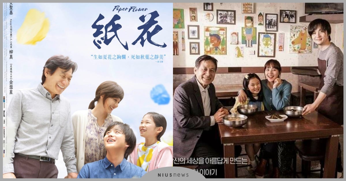 南韓國民影帝成專業禮儀師，帶小女孩為流浪貓舉辦暖心葬禮 紙花、禮儀師、安聖基、金彗星、柳真