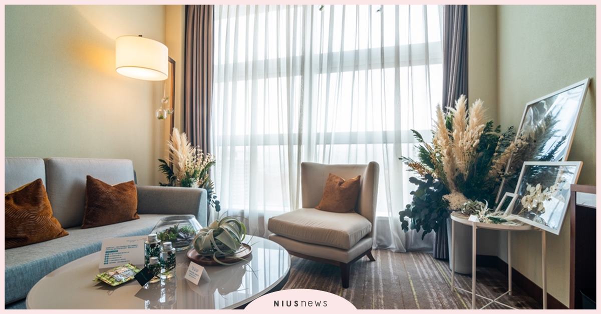 網美最愛！六福萬怡攜一禮莊園，推出夢幻系植感住房！ 六福萬怡、萬怡酒店、台北酒店、多肉、植物