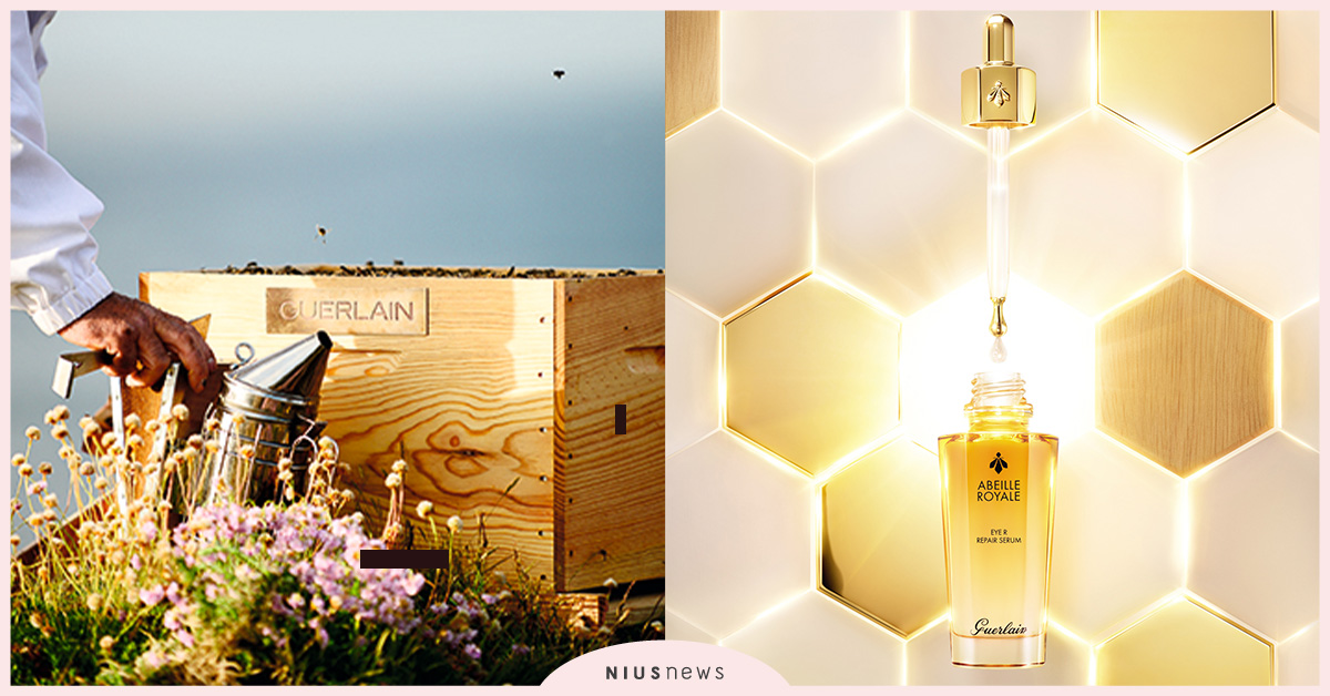 法國嬌蘭全新皇家蜂王乳黃金冰滴眼萃！6D蜂王修護力，定義絕美無瑕！ 法國、嬌蘭、蜂王乳、黃金冰滴眼萃