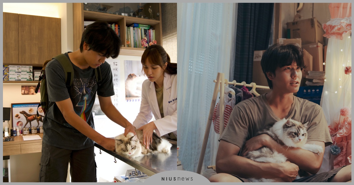 迷你劇集《都嘛是你的毛》風田甘願當貓奴，為寵物打三份工吃罐頭度日 迷你劇集、都嘛是你的毛、風田、貓奴
