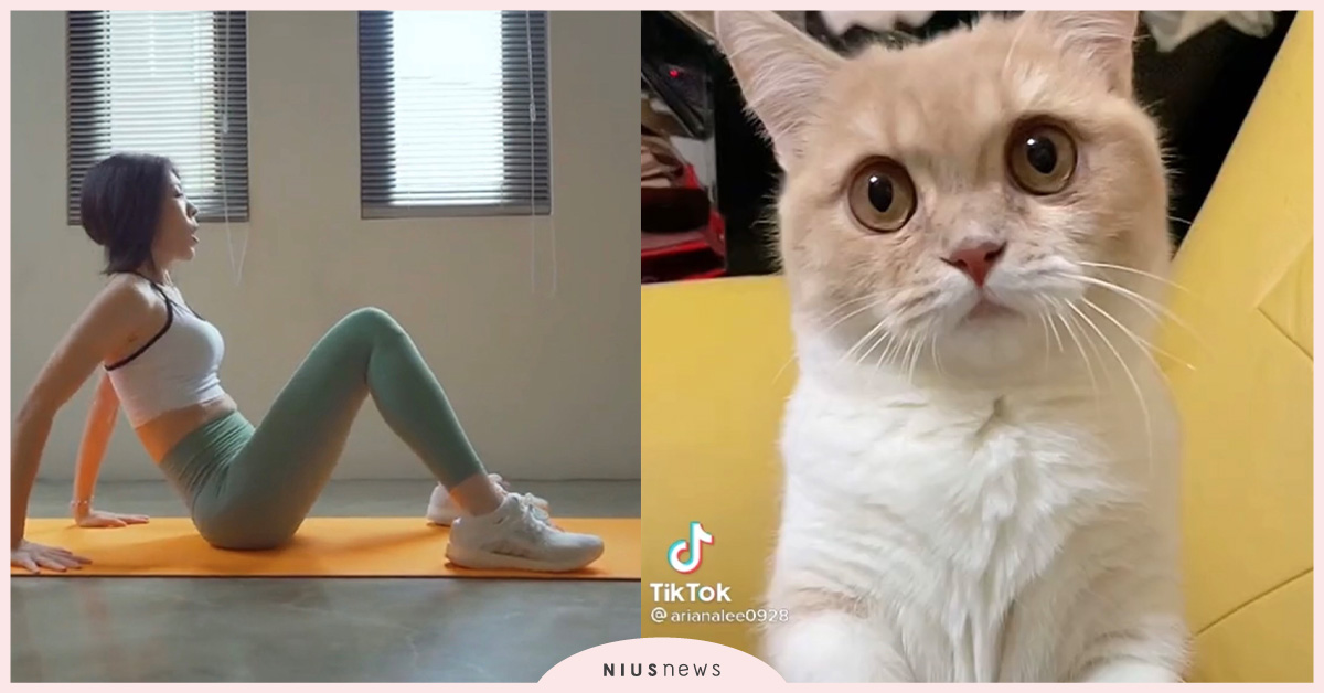 清明完美連假終極指南，跟著TikTok達人秘境踩點！ 清明、連假、TikTok、秘境