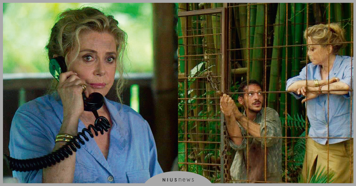 《野蠻糾碴隊》新銳導演致敬韋納荷索，金馬奇幻影展首映好評不斷！ 野蠻糾碴隊、導演、韋納荷索、金馬