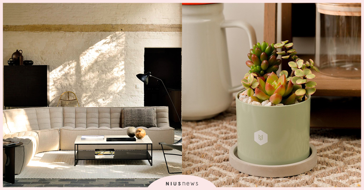 有肉Succulent&Gift自然驚喜！4 款清新媽媽一定喜歡的禮物 有肉、Succulent&Gift、媽媽、禮物