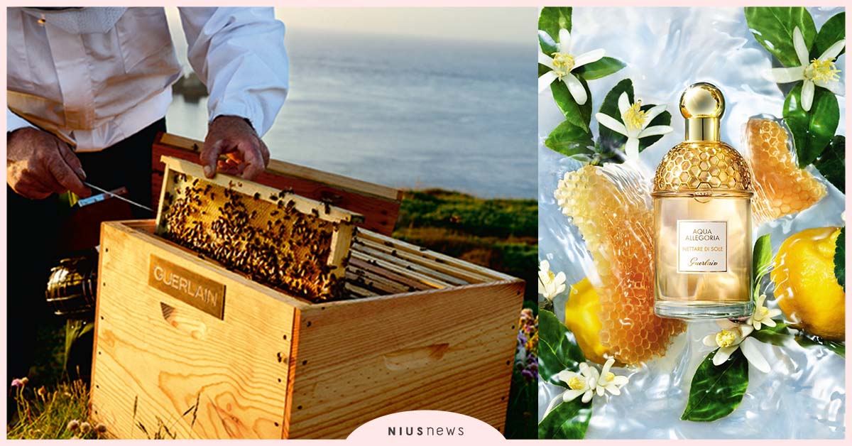 法國嬌蘭GUERLAIN保育蜜蜂不遺餘力！募資100萬歐元捐贈予「嬌蘭蜜蜂保育計畫」 嬌蘭、GUERLAIN、保育蜜蜂