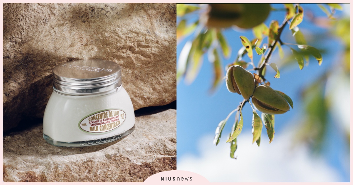 L'OCCITANE6月新品之2：杏仁緊膚凝霜全新升級上市！ L'OCCITANE、歐舒丹、凝霜、上市