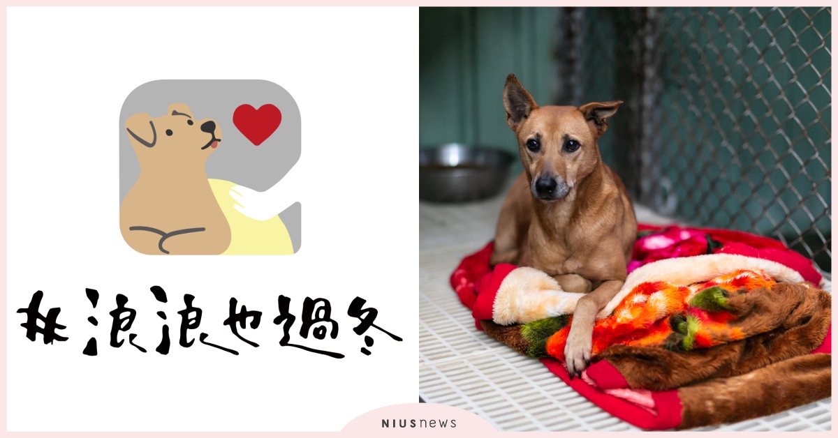 合隆羽藏創造舊織品新生命，讓浪浪溫暖安心過冬！ 浪浪、織品、衣服