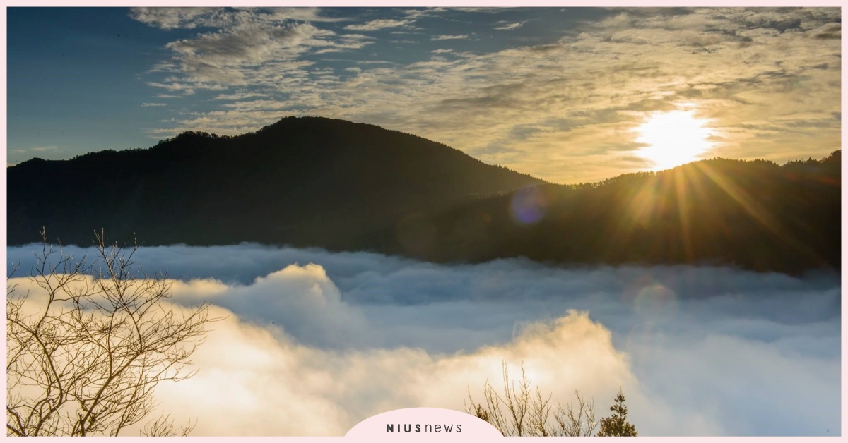 林務局推薦「最美山林秘境」仙度爆表，旅展五倍券限定優惠 秘境景點、拍照打卡、網美聖地、最美小路、林務局、國家森林館、最美小路