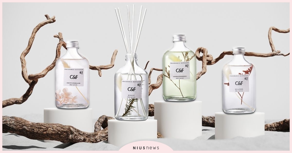 擴香挑選安全指南！C&F香研所花園系列秋冬必備，打造自帶綠意的溫潤天地 C&F香研所、香氛、居家、擴香