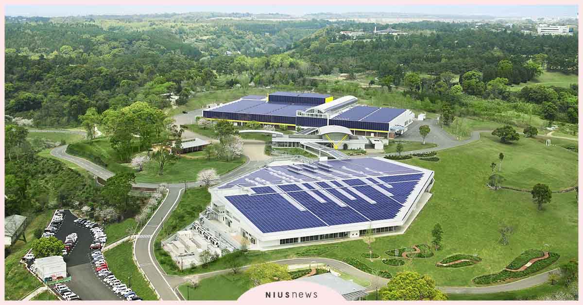 幸福永續，朵茉麗蔻日本總公司入選熊本縣SDGs登錄企業 朵茉麗蔻、Domohorn、SDGs、熊本縣