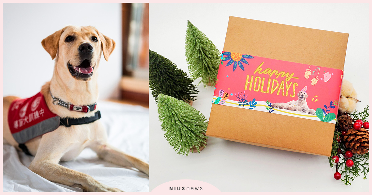 AUROChocolateX台灣導盲犬協會，首次聯名共同推出「快樂假期Happy Holidays」公益小禮盒！ AUROChocolate、台灣導盲犬協會、聯名、公益小禮盒