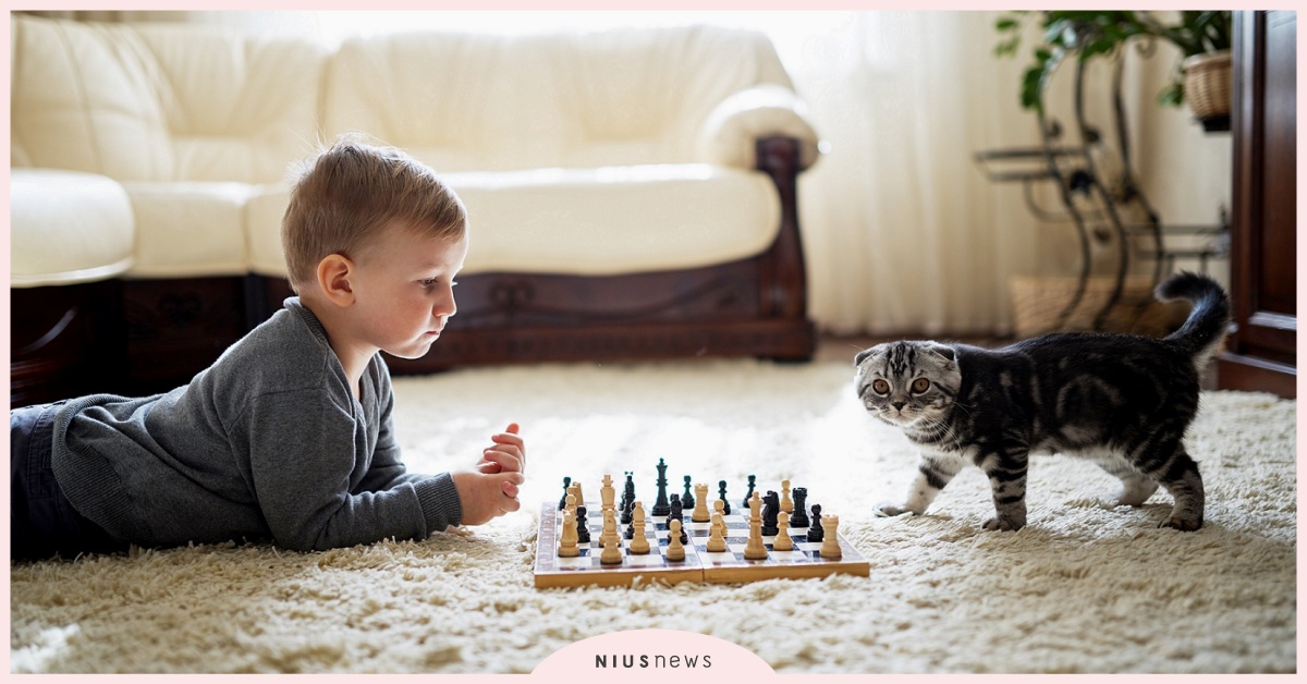 貓咪寶貝冬季照護秘訣！Vigor&Sage靈萃獻上奢華寵物漢方秘帖，首創低敏草本配方 貓咪、貓糧、飼料、照護、寵物、靈萃、寵物照護、草本配方