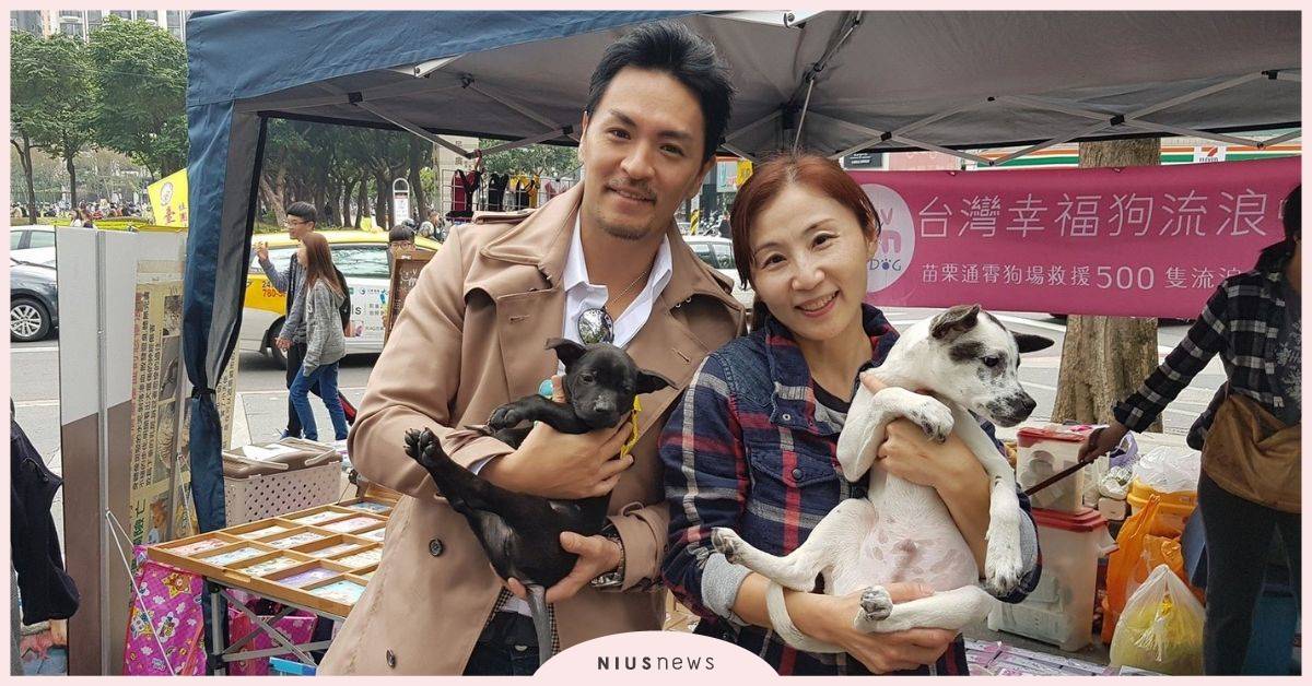 幸福狗流浪協會快閃店，夢多擔任一日店長支持公益！ 社團法人台灣幸福狗流浪中途協會、流浪狗、夢多