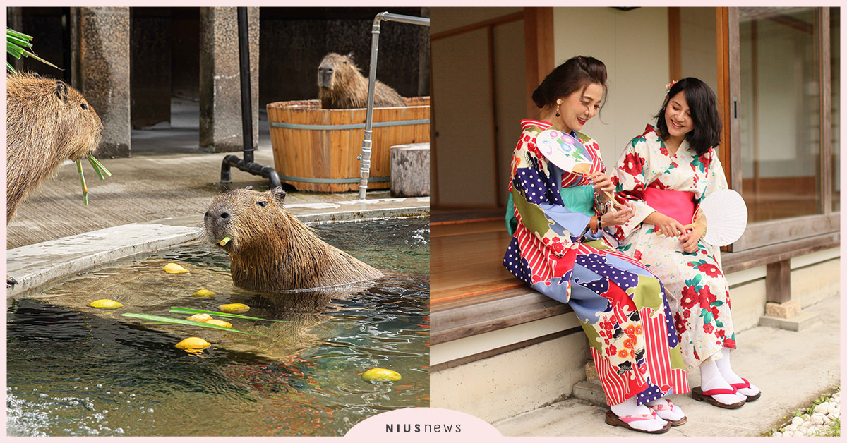復刻日本神社祈願儀式LUCKY！綠舞開運御守り住房專案 綠舞開運御守、日本神社、住宿