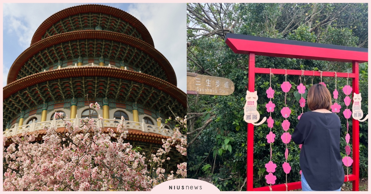 天元宮吉野櫻盛開，粉紅櫻浪來襲！櫻花祈福（虎）卡 「櫻」你而美好 櫻花、新北、美術館、淡水、旅遊