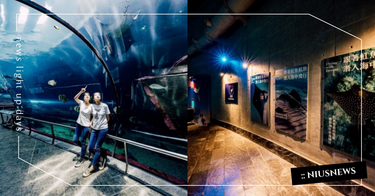 屏東海生館暑期活動「魟魚飛行日誌」限時登場！ 全新環繞沉浸式投影與打卡裝置，跟著魟魚來一趟海洋之旅 屏東海生館、暑期活動、海洋、海生館