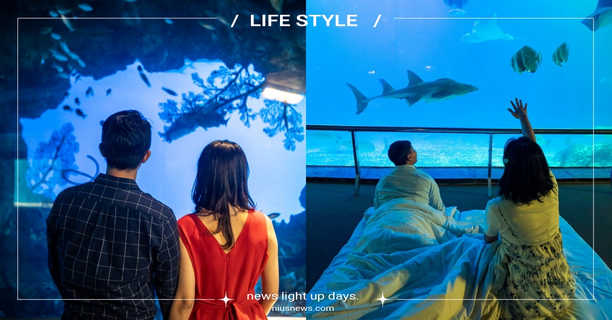 屏東海生館七夕盛夏浪漫之旅！潛入夢幻湛藍世界編織專屬甜蜜回憶！ 屏東海生館、海生館、墾丁、七夕、情人節、住宿、情侶、墾丁