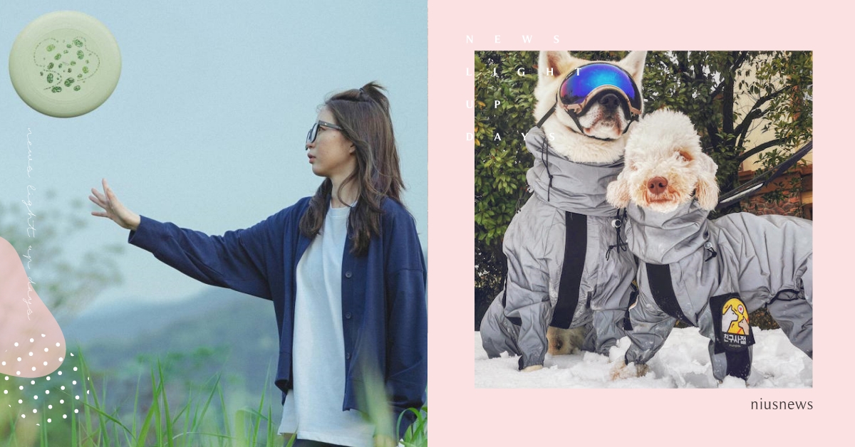 2022造物節讓再小的創意都能成為生意！健康養生、寵物消費新興好物趨勢 淘寶、造物節、寵物、飛盤、運動、超級食物、健康、養生、衝鋒衣