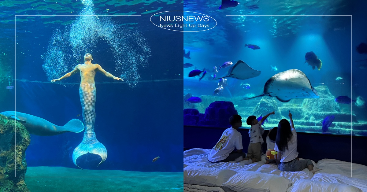 ALL NEW SMILE 嶄新的笑容迎接遠雄海洋公園20週年慶典！全台唯一互動式鯨嶼島APP，用夢想開啟冒險的全新篇章 娛樂、住宿、主題公園、美人魚、花蓮景點、花蓮、遠雄海洋公園、遠雄20、ALL NEW SMILE、鯨嶼島、遠雄悅來飯店、高雄洲際酒店