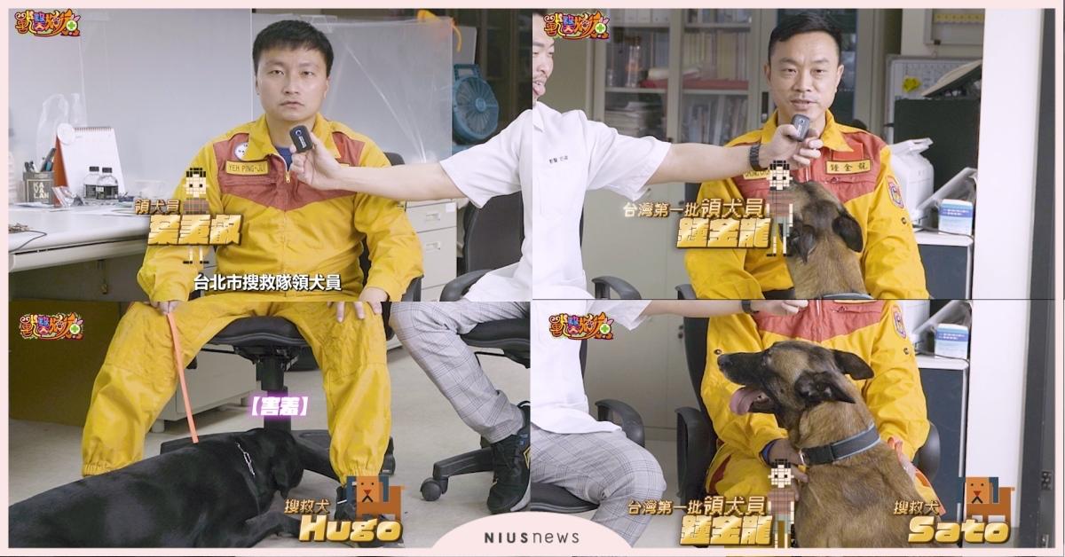 土耳其賑災英雄搜救犬駕到！想轉職的狗狗必看，搜救犬救災背後的辛苦訓練與現場畫面首次公開！ 搜救犬、獸醫、土耳其地震、訓練、養狗知識