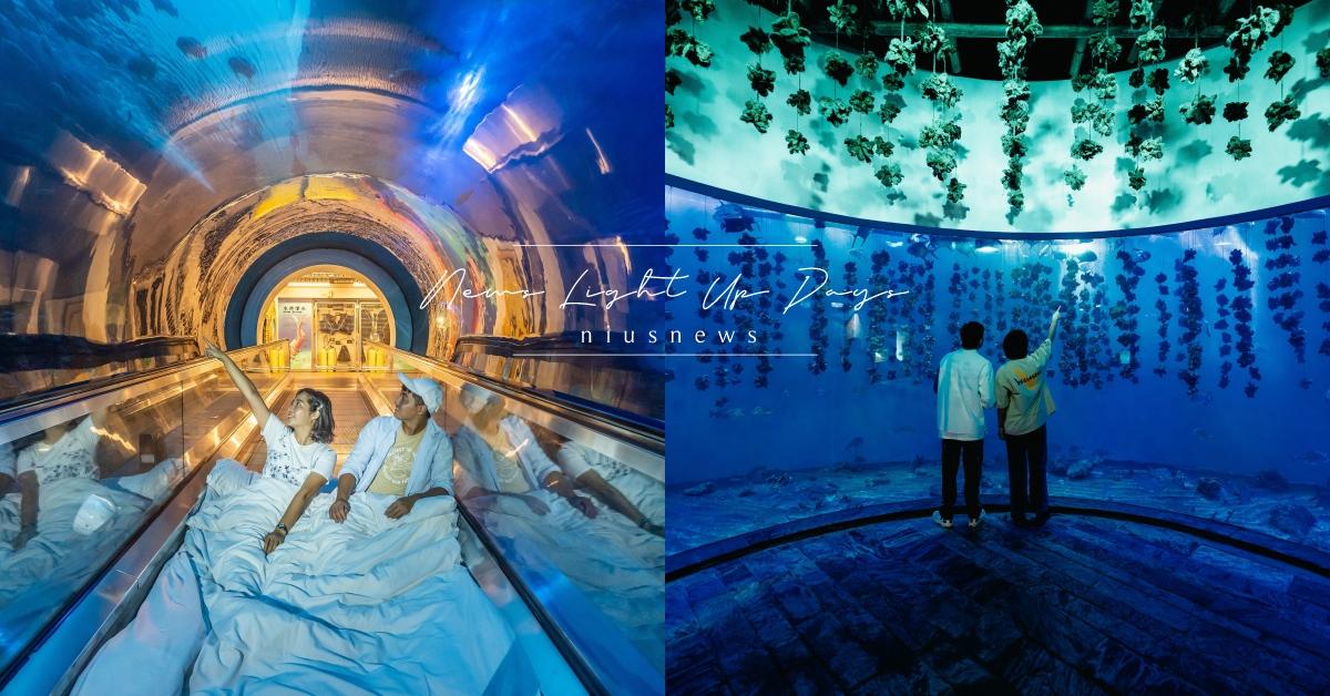 限定告白企鵝布偶甜蜜傳情，屏東海生館推浪漫七夕優惠！夜宿海底隧道與海藻森林區，與另一半製造情人節最美回憶！ 屏東海生館、國立海洋生物博物館、七夕情人節夜宿優惠、告白企鵝布偶、歡迎光臨我的海生館！