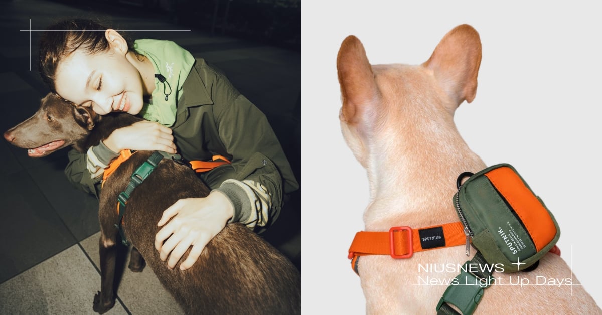 BEAMS與台灣寵物品牌〈SPUTNIK〉聯名商品正式登場！兼具美式風格與機能性設計，讓你成為城市街道最有型的毛孩夥伴！ SPUTNIK、BEAMS、寵物背帶、寵物牽繩、寵物用品