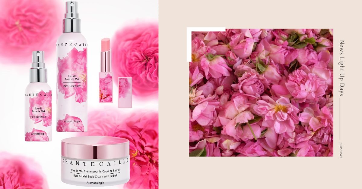 香緹卡歡慶溫馨五月！限量「五月玫瑰系列」徜徉格拉斯、體驗浪漫法式玫瑰雨！ 香緹卡、五月、玫瑰花水、迷你花水、玫瑰緊膚霜 、仙女潤唇膏