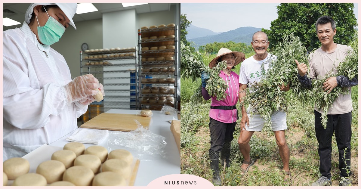 最純淨的在地直送！阿原YUAN攜手北海岸小農 啟動有機艾草種植  連結台灣最北永續基地與陽明山農場 打造綠色低碳生產鏈 阿原YUAN、艾草、有機艾草、小農、手工肥皂、手工皂