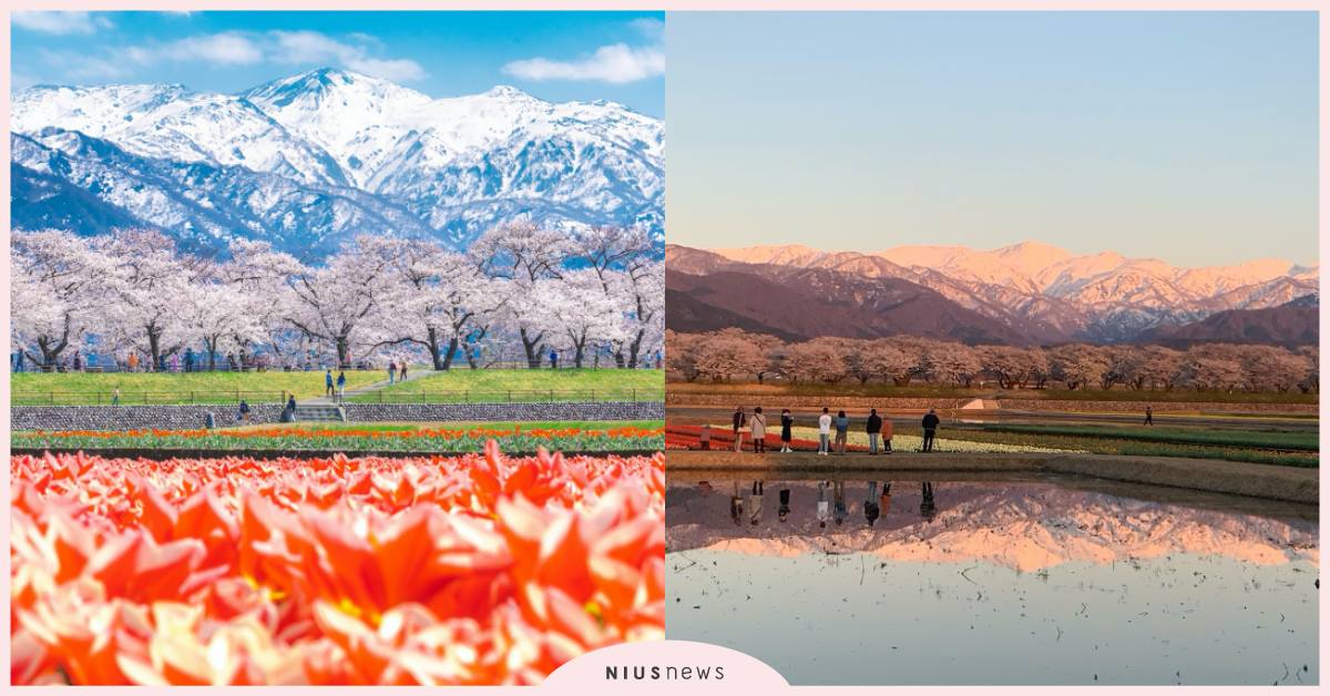 山海絕景、文化秘境 走進日本富山縣朝日町 「春日四重奏」看見全世界只有這裡才有的風景 