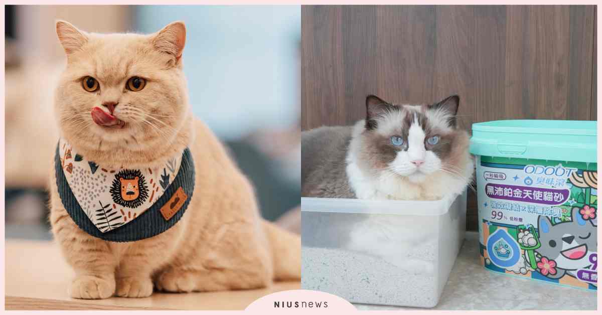 2025南港寵物展亮點搶先看！基因篩檢、清潔神器、萌系穿搭一次滿足 