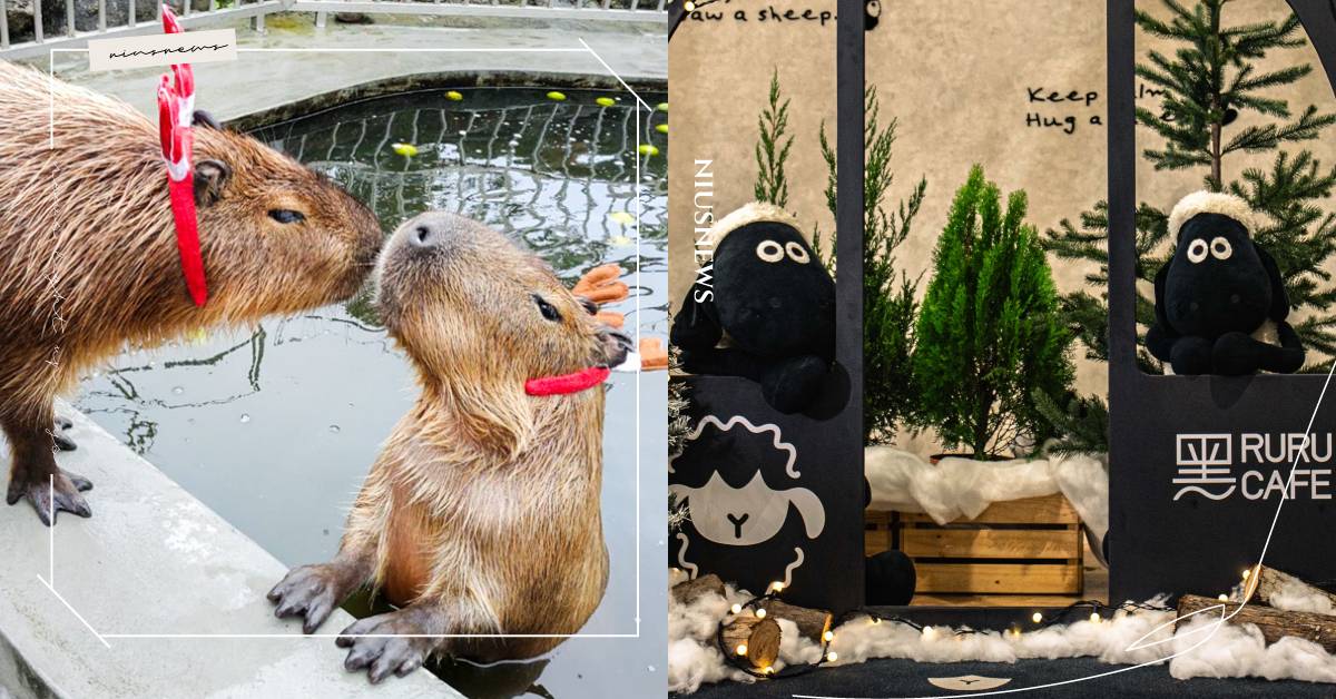  年末療癒旅程首選！綠舞早鳥加碼贈一食、指定房型第三人免費入住，鹿鹿萌拍、滑索買二送一、貓店長送禮到聖誕限定下午茶 