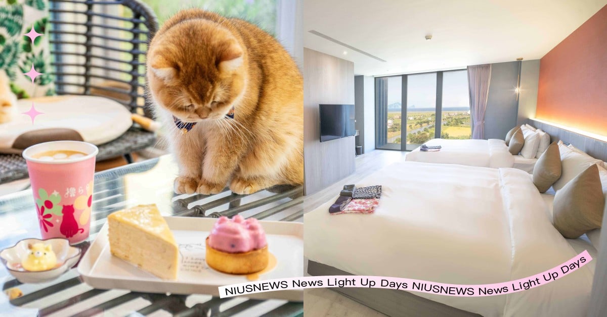 寒假出發！療癒系小旅行綠舞飯店「萌寵方城市PLUS 一泊二食」免排行程玩好玩滿，萌寵下午茶×滑索×浴衣，早鳥再加碼一食 