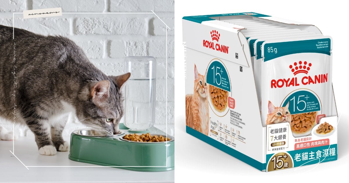 想讓貓咪健康陪伴更長久？  法國皇家推「健康老齡貓」系列　以「七大銀養」打造分齡精準照護 