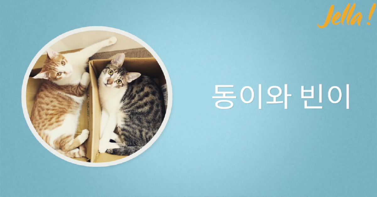 韓文助詞 은 는 vs 이 가 01 韓語小學堂、大魔王