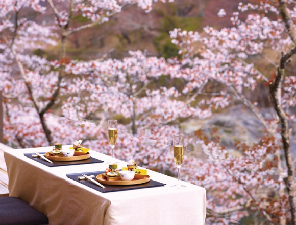 在特別的空間享受賞花的氣氛，星野京都的空中茶室「夜晚賞櫻晚餐」 