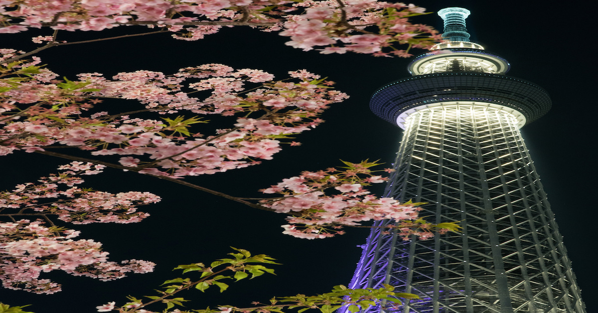 2017賞櫻名所｜關東地區追櫻趣 東京、夜櫻、都心、觀光、一日遊