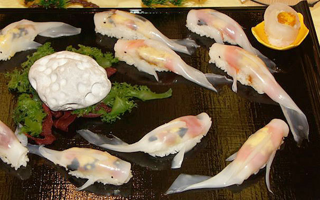 有錦鯉在我的餐桌上游泳！日本的創意壽司名店「丹匠」 日本、九州、大分縣、壽司、錦鯉、錦鯉壽司、丹匠、飾り寿司、Wondershow