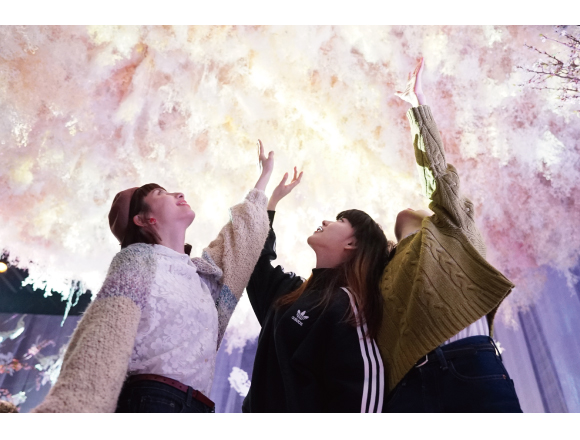  【視覺饗宴】賞櫻搭配浮世繪的展覽再加上正統日本料理！ 賞櫻、浮世繪