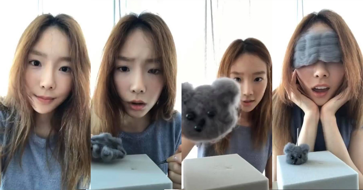 Zero 4ni？！太妍直播做羊毛氈，粉絲表示：這是無尾熊吧？ 少女時代、太妍