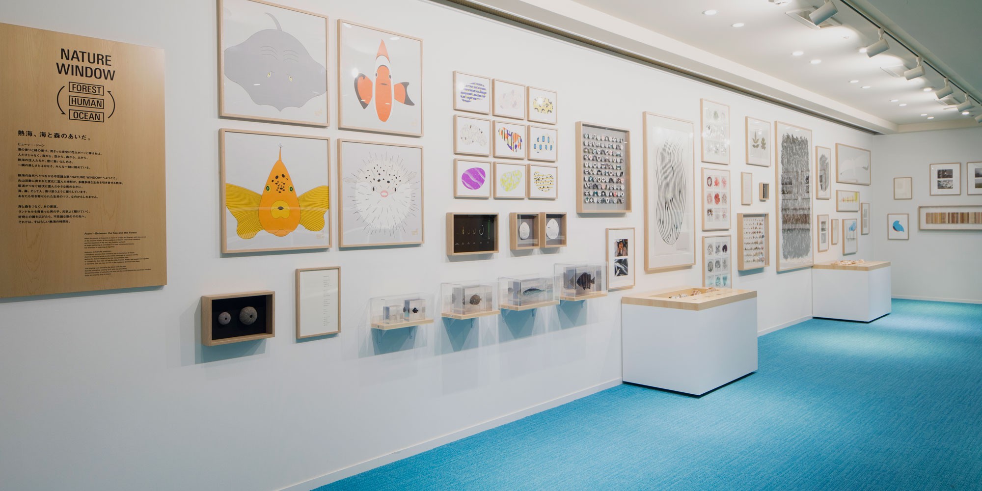 山林與大海就在隔壁？容納山海的展覽「Nature Window」 日本、展覽、大黑大悟、熱海、星野熱海RISONARE酒店、星野集團、大黑設計研究室、Nature Window、Wondershow